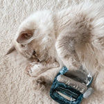 KITTY SARDINES - Lambwolf Collective