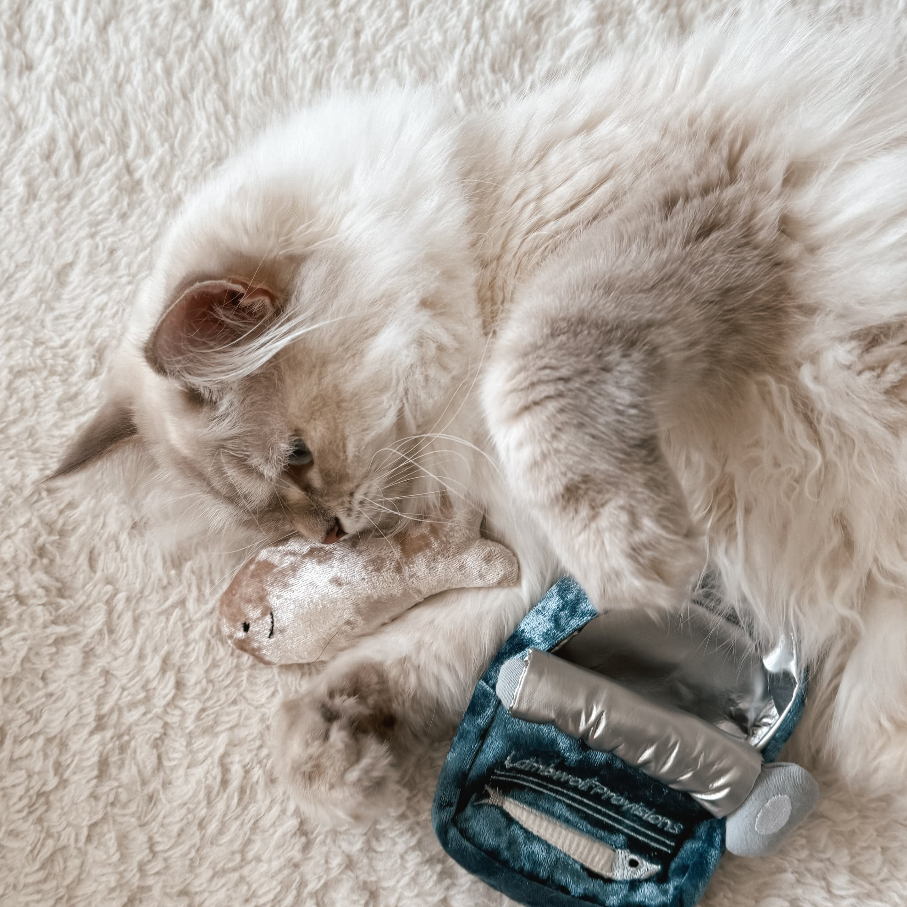 KITTY SARDINES - Lambwolf Collective