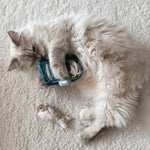 KITTY SARDINES - Lambwolf Collective