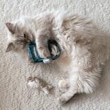 KITTY SARDINES - Lambwolf Collective