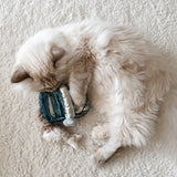 KITTY SARDINES - Lambwolf Collective