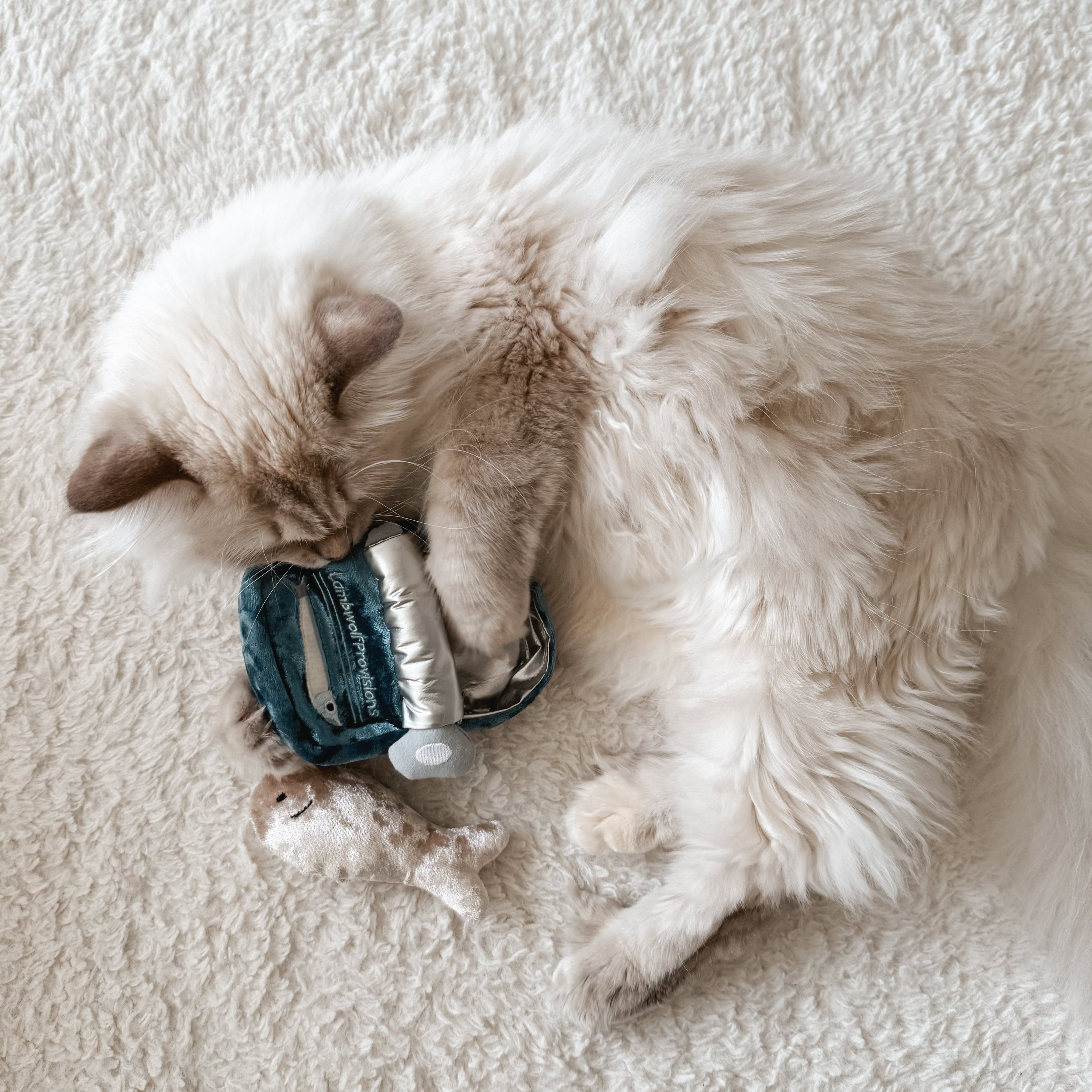 KITTY SARDINES - Lambwolf Collective