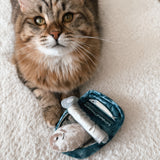 KITTY SARDINES - Lambwolf Collective