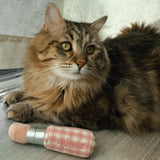 KITTY LIPSTICK