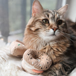 KITTY PIZZA & BAGEL SET - Lambwolf Collective