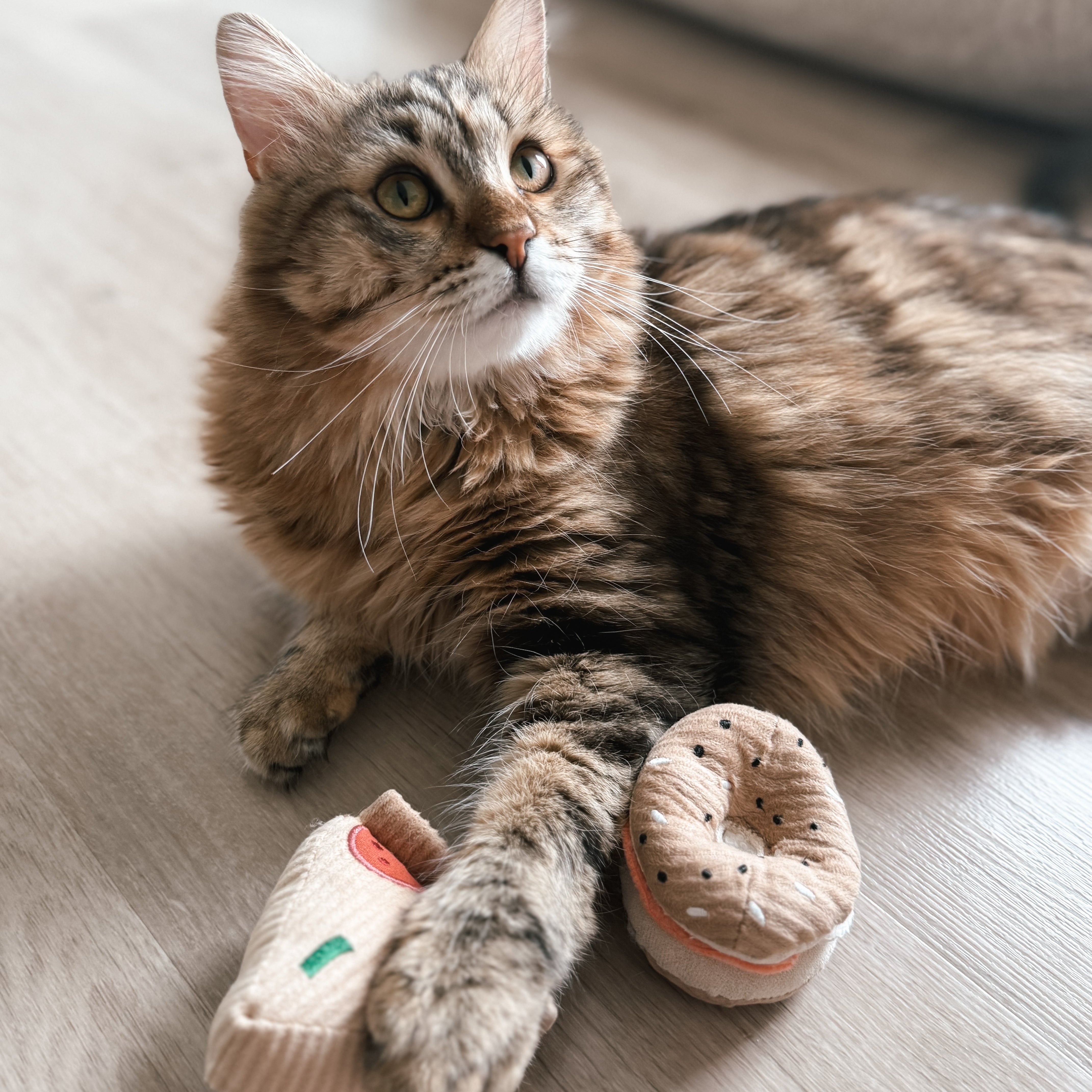 KITTY PIZZA & BAGEL SET - Lambwolf Collective