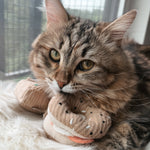 KITTY PIZZA & BAGEL SET - Lambwolf Collective