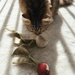 RADISH - Lambwolf Collective