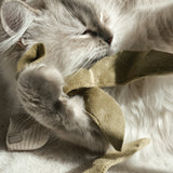 RADISH - Lambwolf Collective