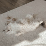 TEA TIME - Lambwolf Collective