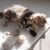 TEA TIME - Lambwolf Collective