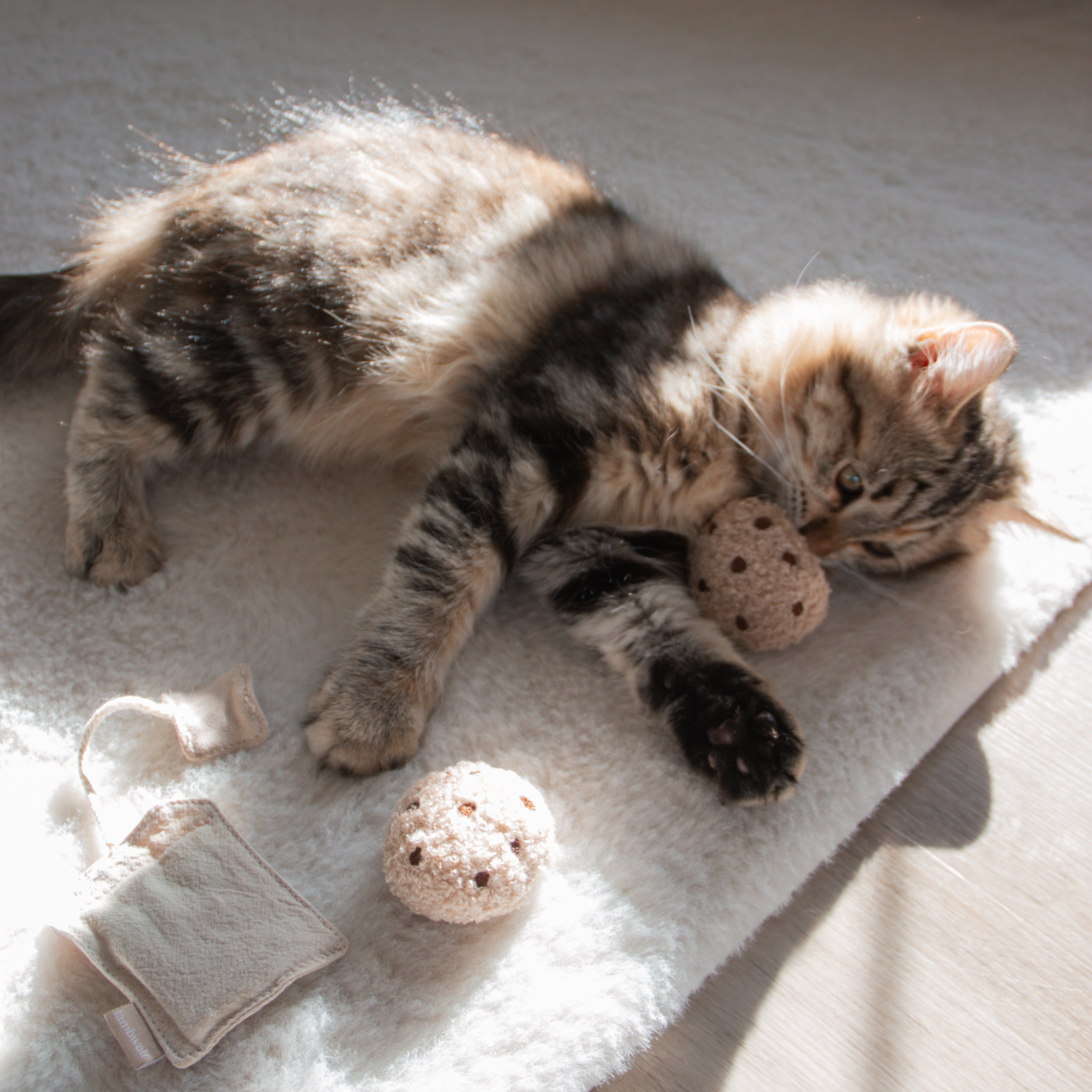 TEA TIME - Lambwolf Collective