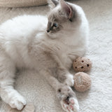 TEA TIME - Lambwolf Collective