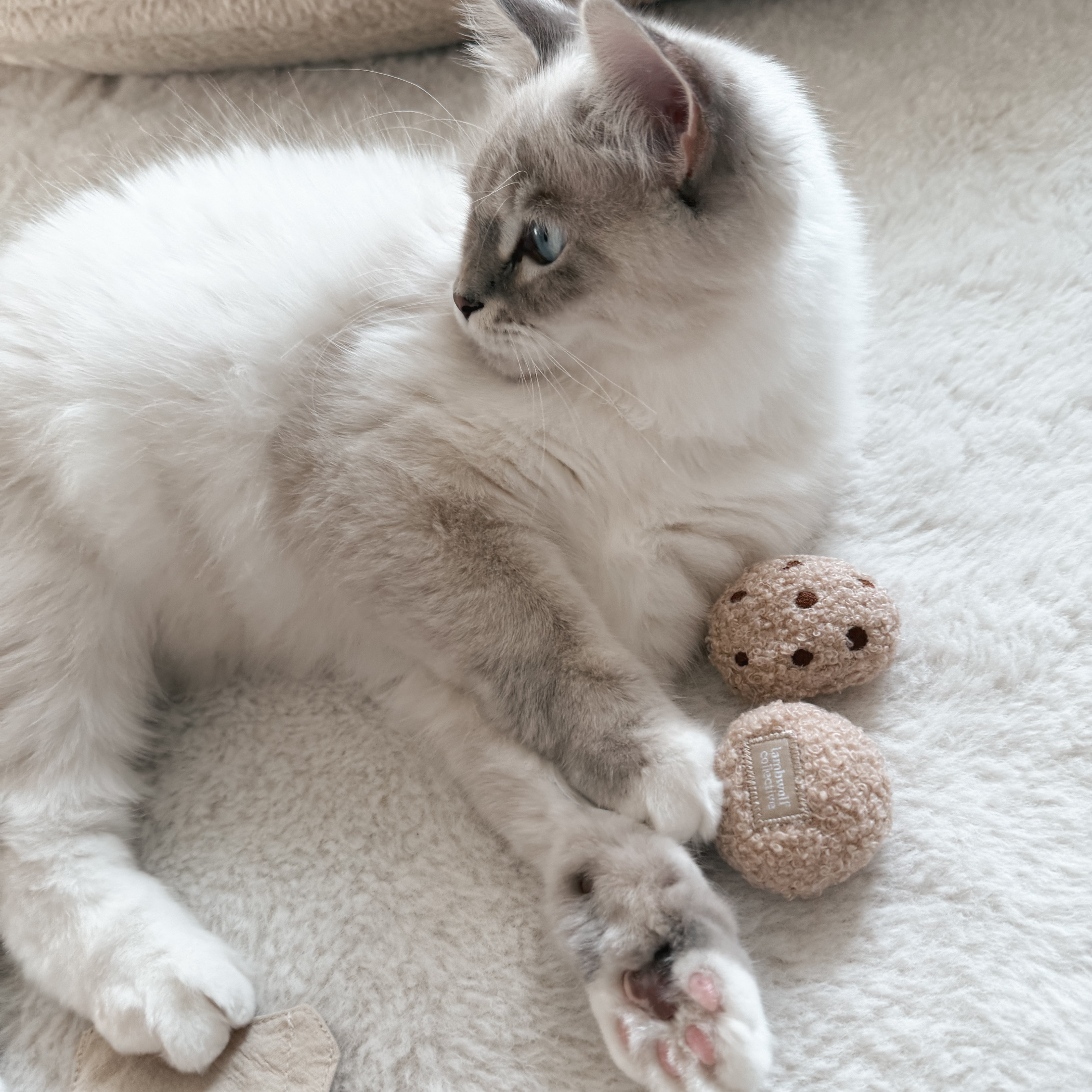 TEA TIME - Lambwolf Collective