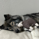 BARRY - Lambwolf Collective