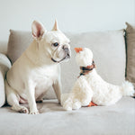 Gus - Lambwolf Collective