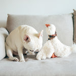 Gus - Lambwolf Collective