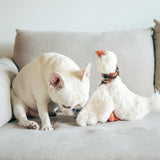 Gus - Lambwolf Collective