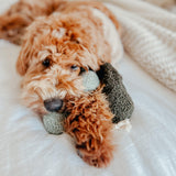 Pea POP - Lambwolf Collective