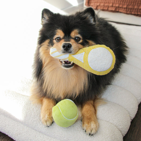 スポーツトイ・アクショントイ empathy oneLove pack TENNIS POP - Enrichment and Interactive Dog Toy | Puzzle Dog Toy