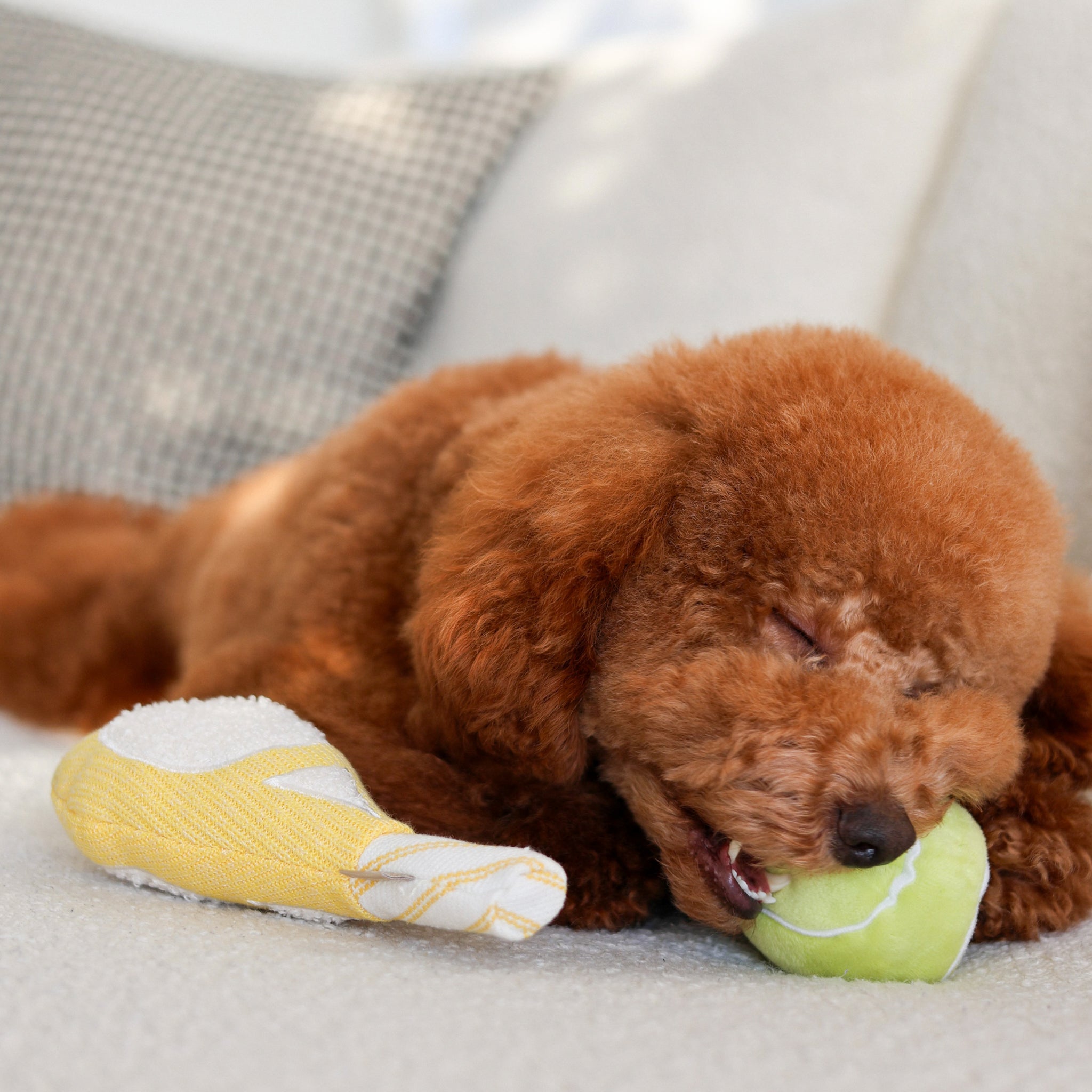 TENNIS POP - Lambwolf Collective