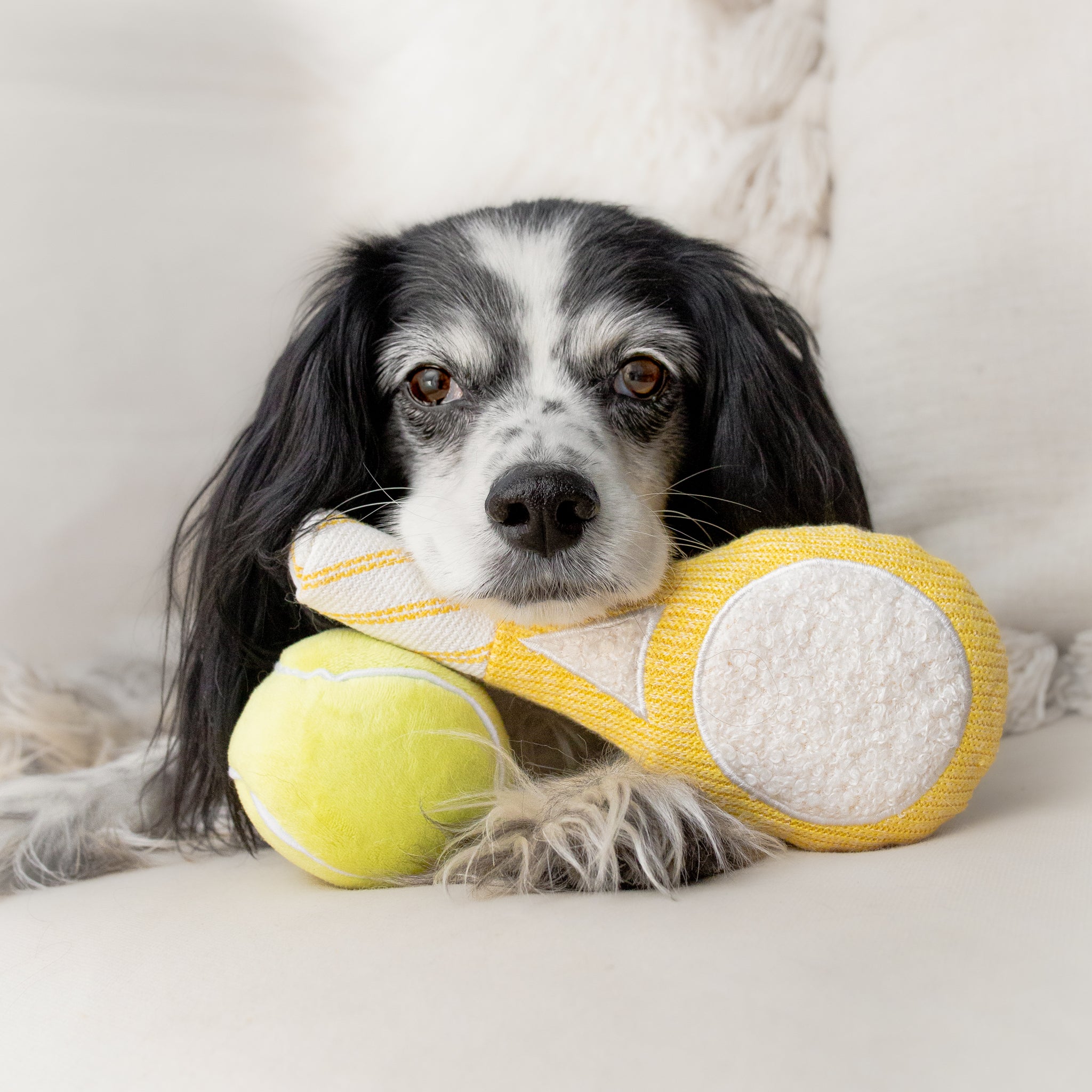 TENNIS POP - Lambwolf Collective