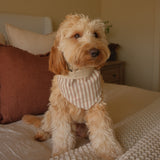 Mocha Stripe Dog Bandana