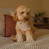 Mocha Stripe Dog Bandana