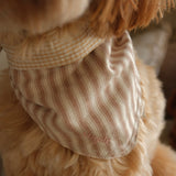 Mocha Stripe Dog Bandana