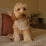 Mocha Stripe Dog Bandana