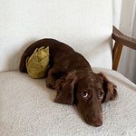 ARTICHOKE - Lambwolf Collective