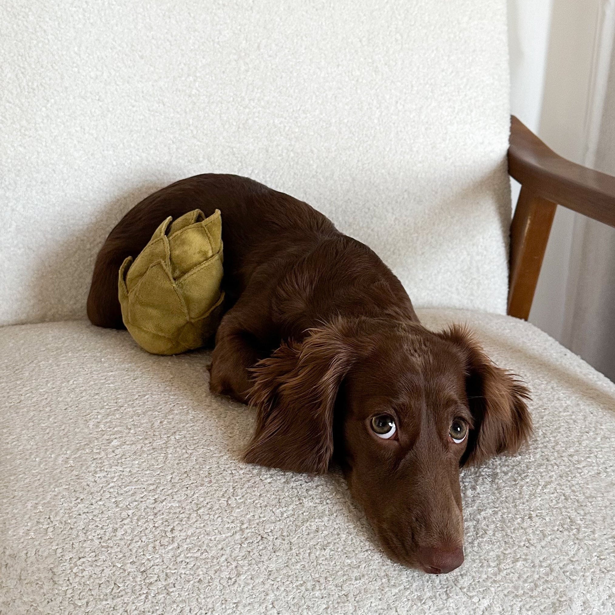 ARTICHOKE - Lambwolf Collective