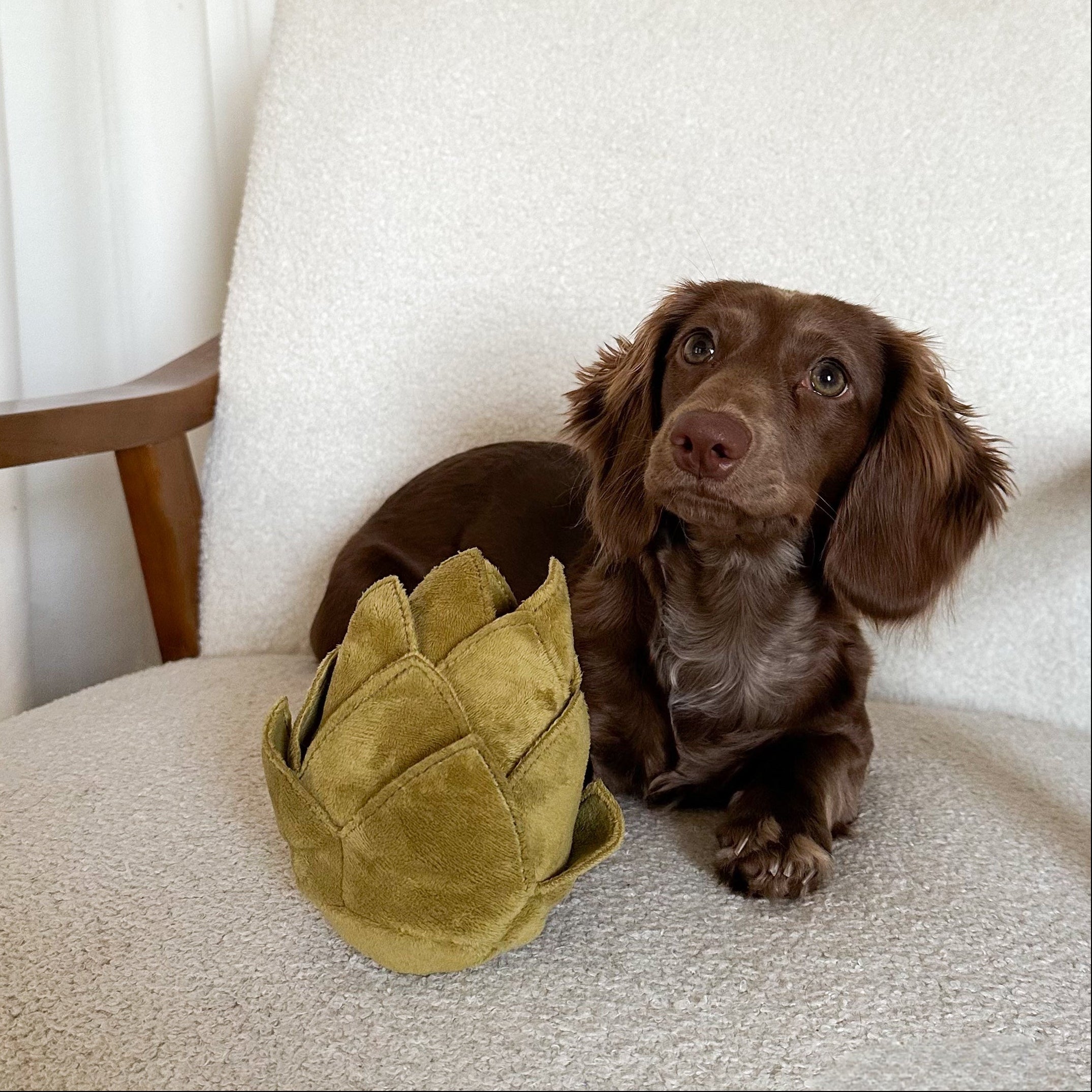 ARTICHOKE - Enrichment and Interactive Dog Toy | Puzzle Dog Toy