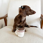 EXPRESSO POP - Lambwolf Collective