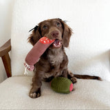 Olive + SALAMI - Lambwolf Collective