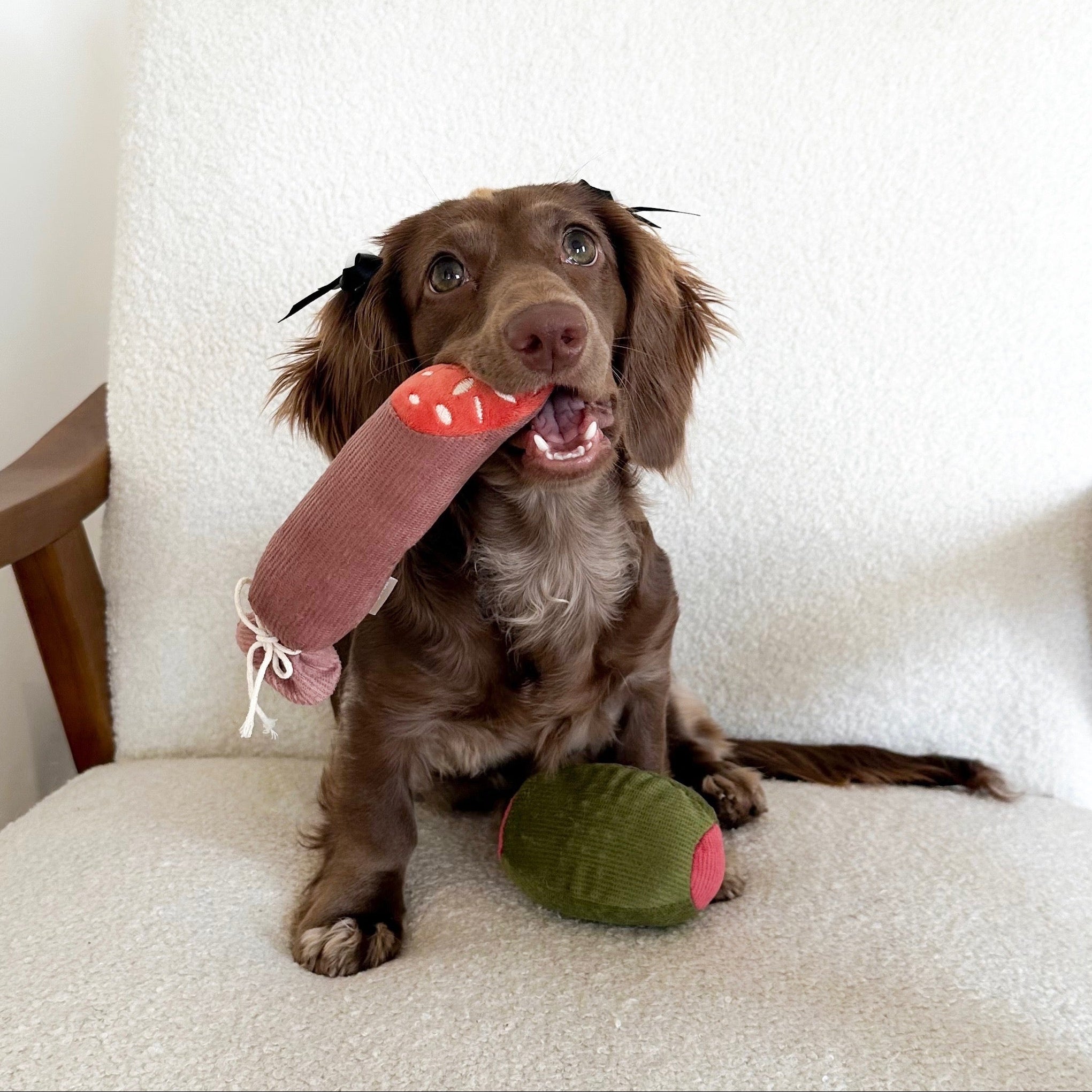 Olive + SALAMI - Lambwolf Collective