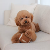 FOOTBALL