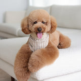Mocha Stripe Dog Bandana