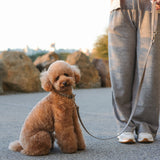 CLASSIC LEASH