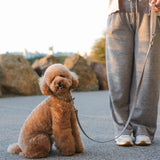 CLASSIC LEASH