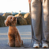 CLASSIC LEASH