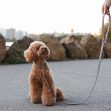 CLASSIC LEASH