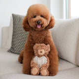 Initial Teddy