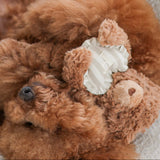 Initial Teddy