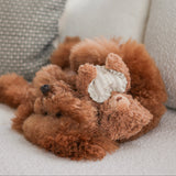 Initial Teddy