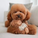 Initial Teddy