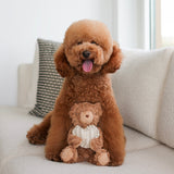 Initial Teddy