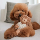 Initial Teddy