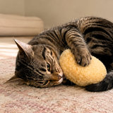 KITTY TEMPURA