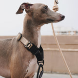 AVA martingale